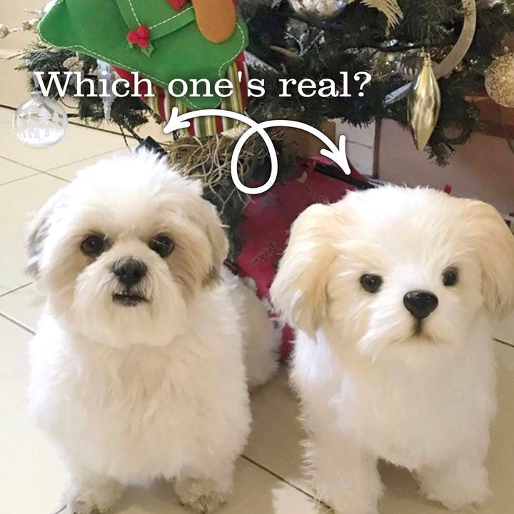 FurEver Pet Clones